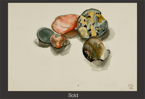 Four stones and one shell on a blank surface. The stones range in size and color from small to large in greys and pinks. The large patterned stone is colored in grey, yellows, and blacks. The shell is of browns, greys, and black tones.