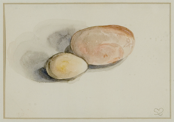 A small egg-shaped yellow and large pink stone on a blank surface.